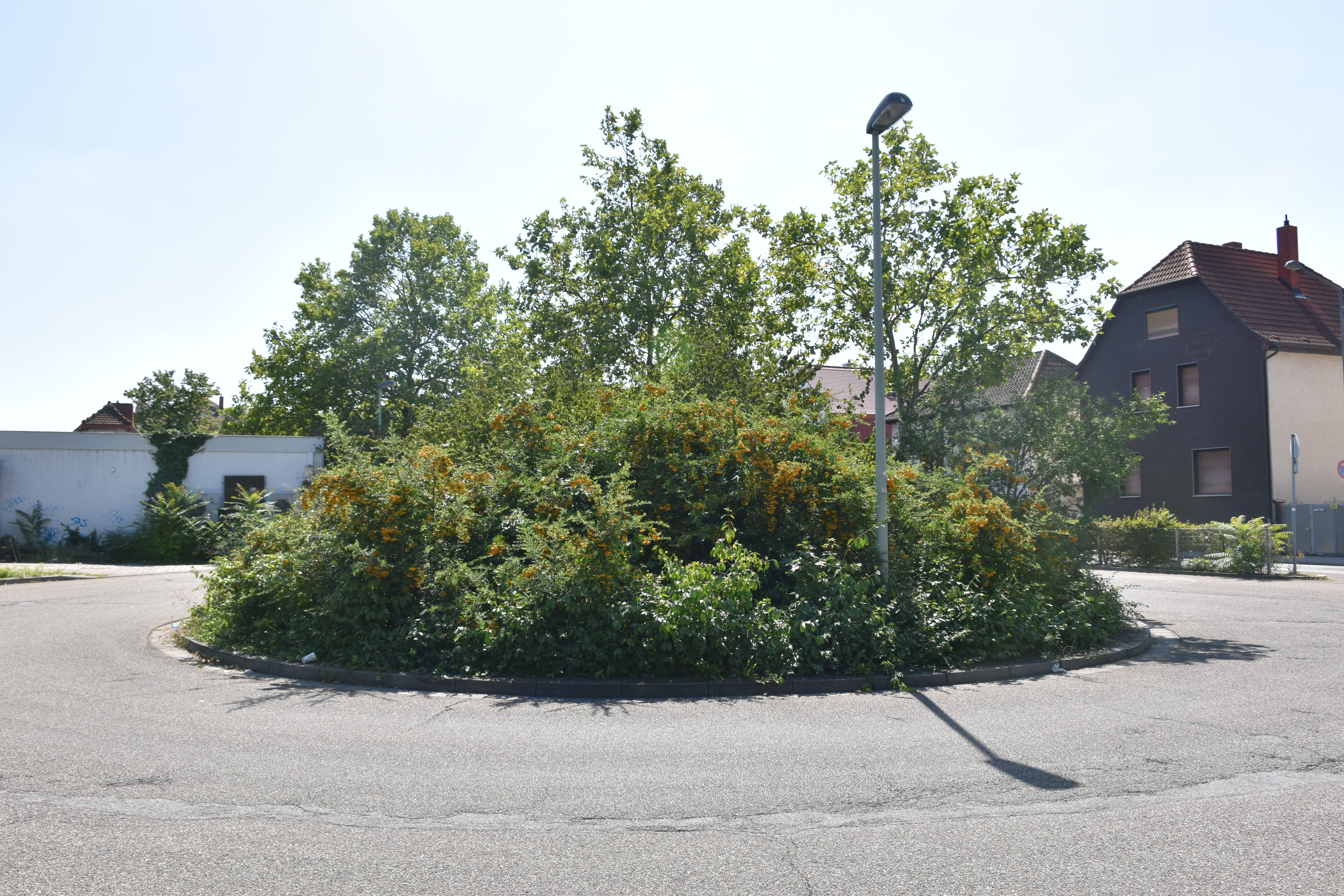 190822_LPH_70 (Kopie).JPG