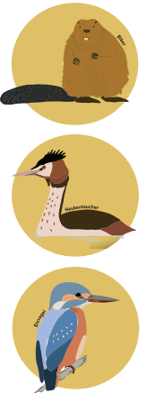 R&uuml;lzheim 10.png